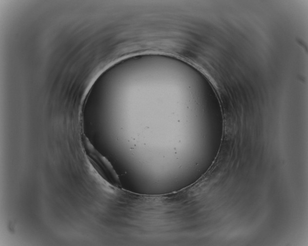 X0000091181532200709060944