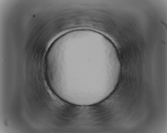 X0000091181534200709060944