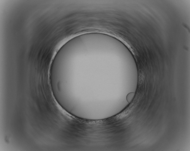 X0000091181535200709060944