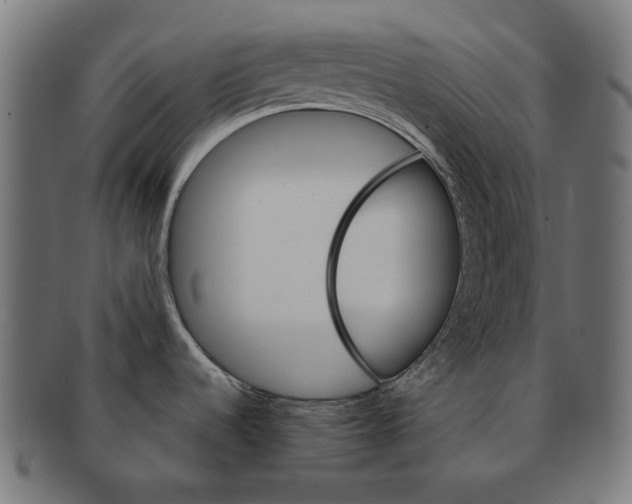X0000091181536200709060944