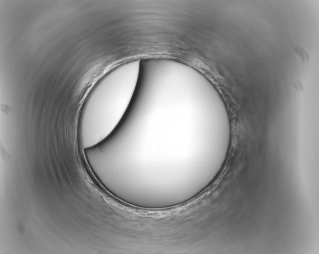X0000091190002200708091030