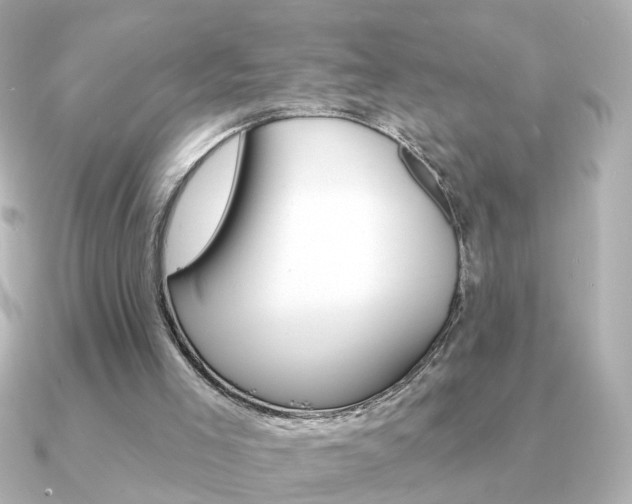 X0000091190005200708091030