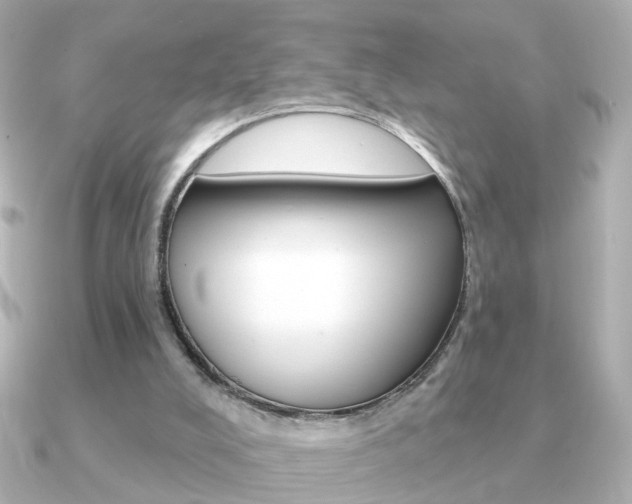 X0000091190008200708091030