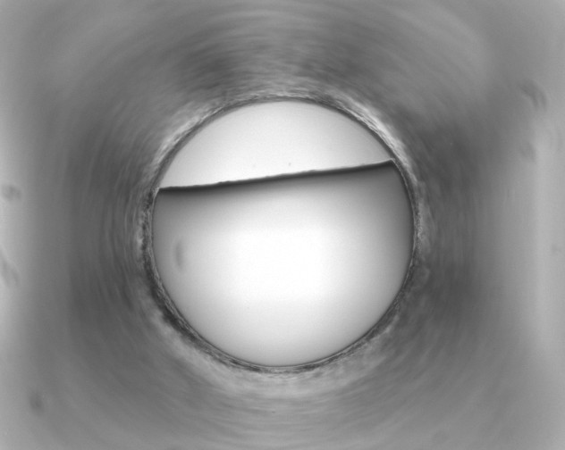 X0000091190010200708091030