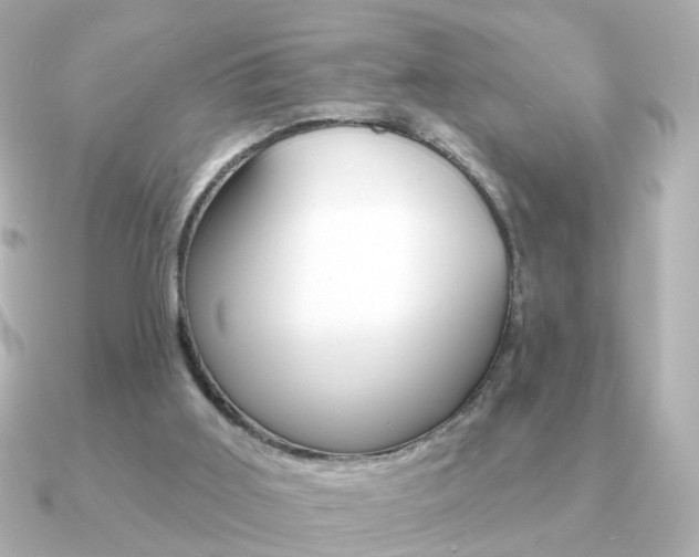 X0000091190011200708091030