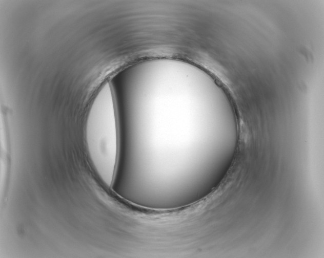 X0000091190013200708091030