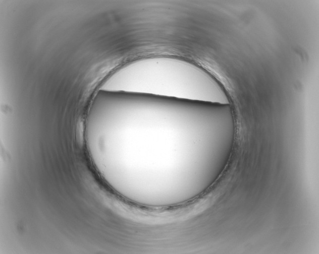X0000091190014200708091030