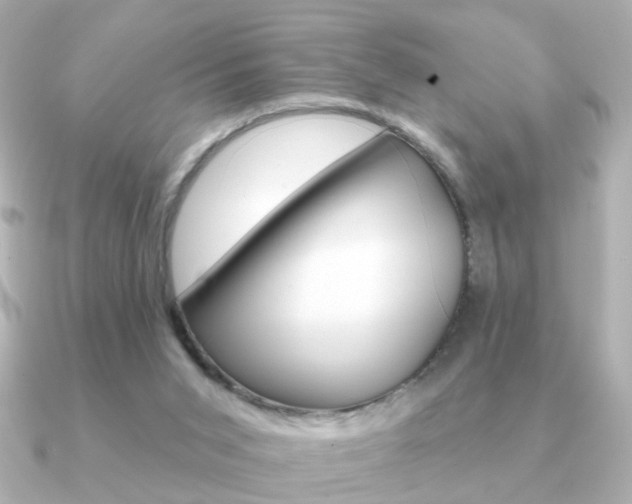 X0000091190015200708091030