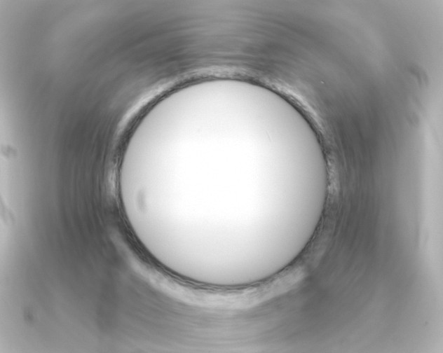 X0000091190016200708091030