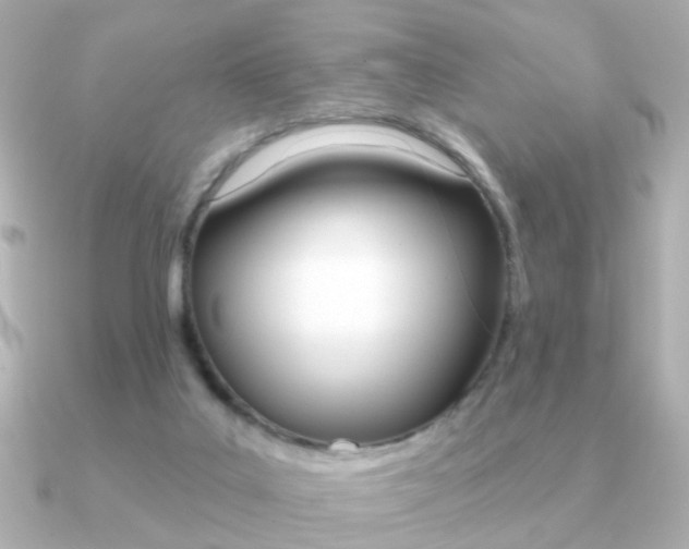X0000091190019200708091030