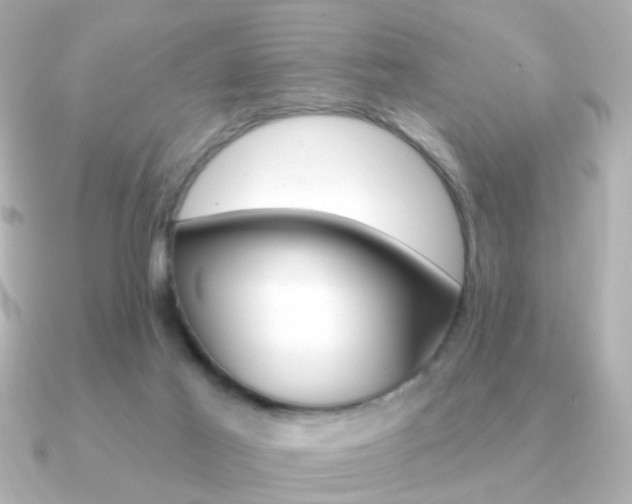 X0000091190021200708091030