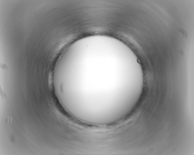 X0000091190024200708091030