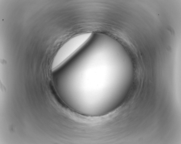 X0000091190031200708091030