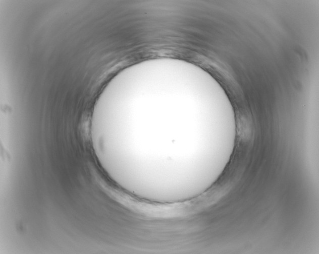 X0000091190036200708091030