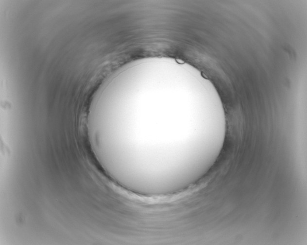 X0000091190038200708091030
