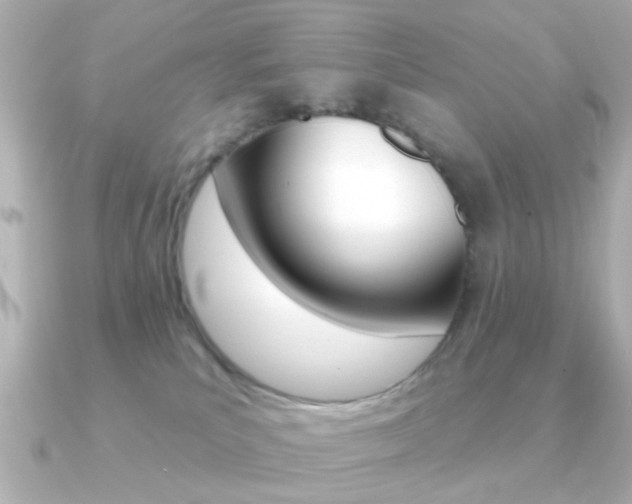 X0000091190039200708091030
