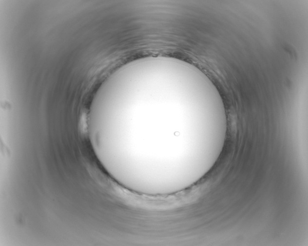 X0000091190042200708091030