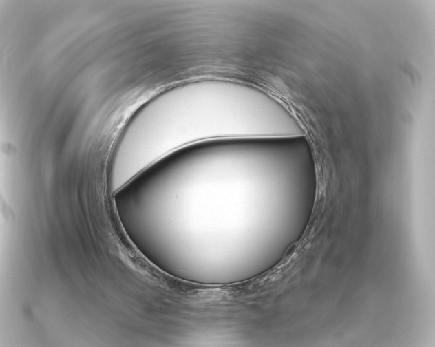 X0000091190050200708091029