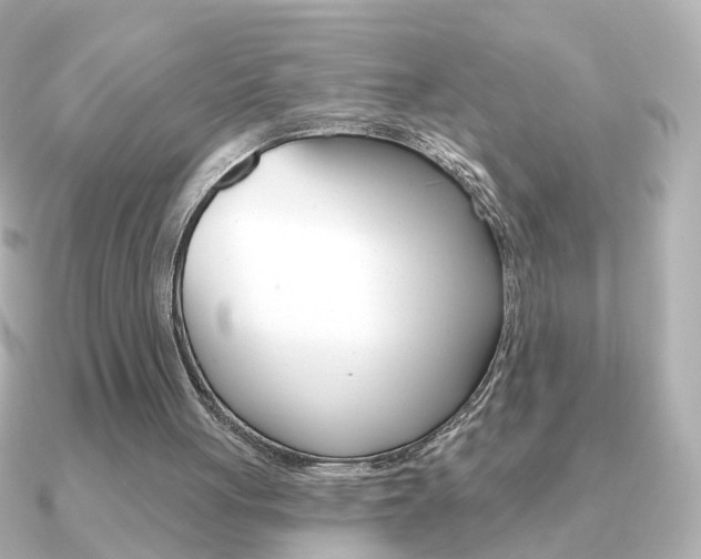 X0000091190051200708091029