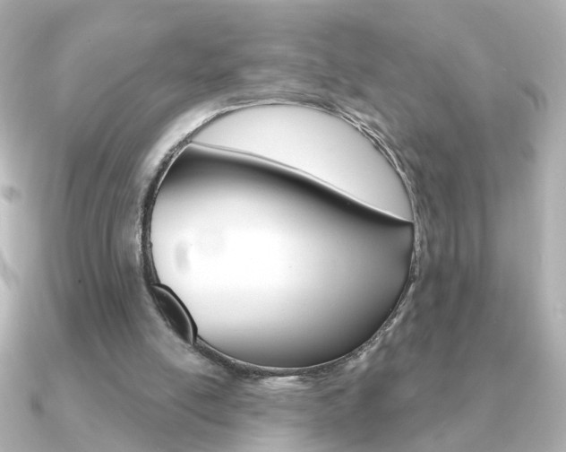 X0000091190054200708091029