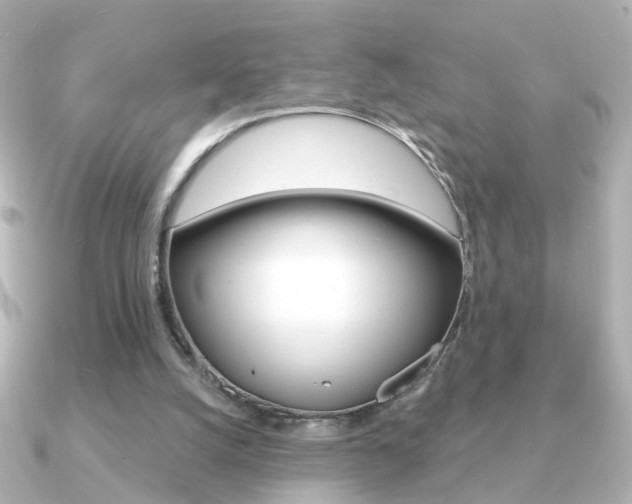 X0000091190056200708091029