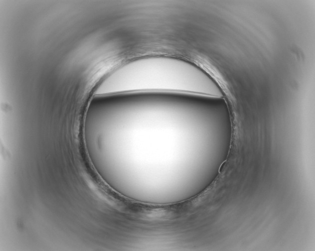 X0000091190058200708091029