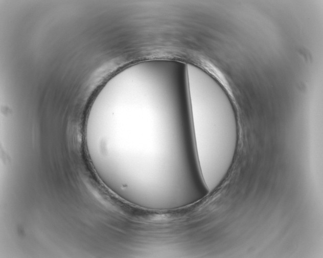X0000091190059200708091029
