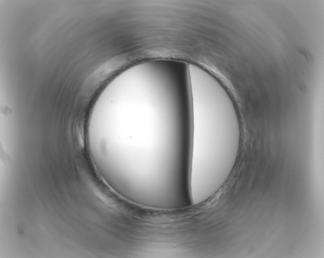 X0000091190062200708091029