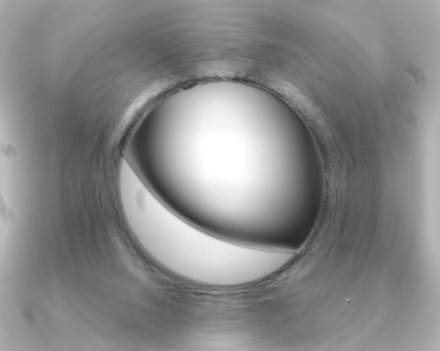 X0000091190064200708091029