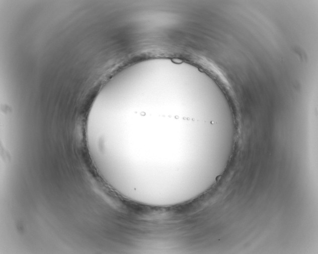 X0000091190065200708091029