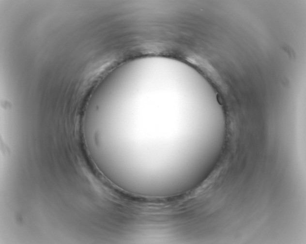 X0000091190066200708091029