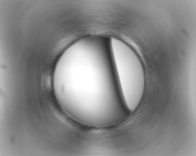 X0000091190067200708091029