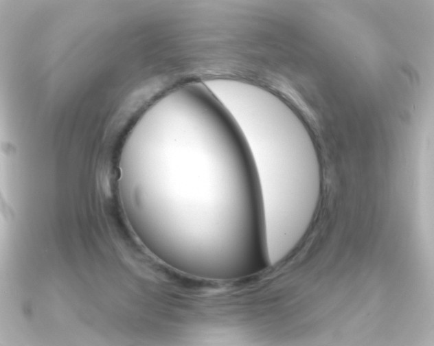 X0000091190068200708091029