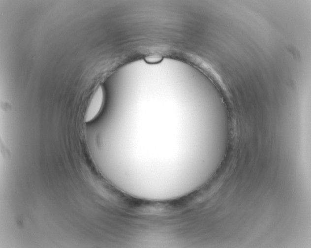 X0000091190069200708091029