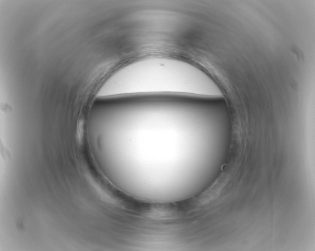 X0000091190070200708091029