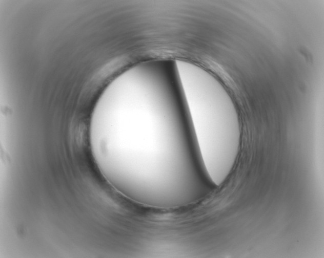X0000091190071200708091029