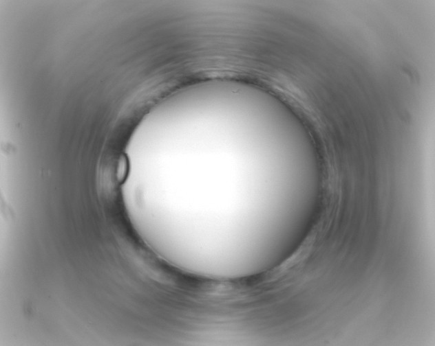 X0000091190074200708091030