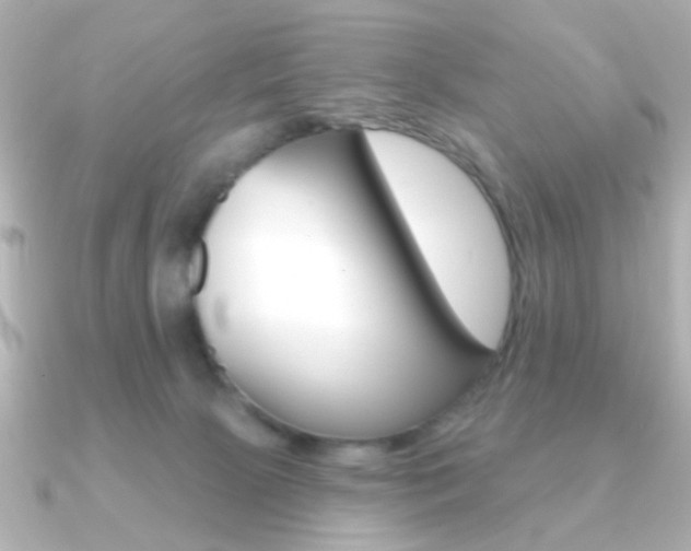 X0000091190081200708091030