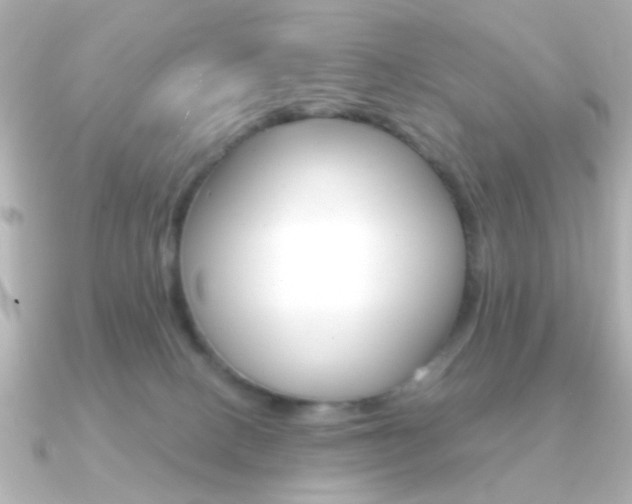 X0000091190082200708091030