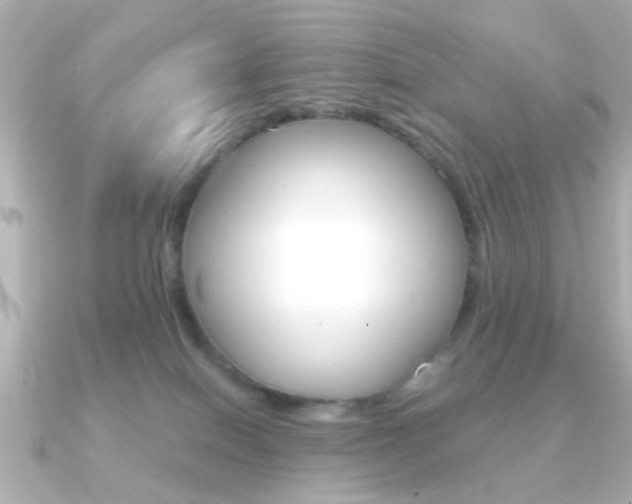 X0000091190086200708091030