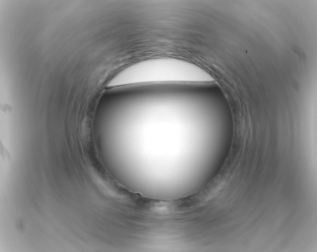 X0000091190088200708091030