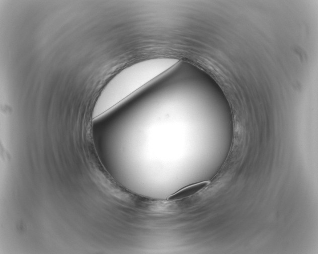 X0000091190096200708091030