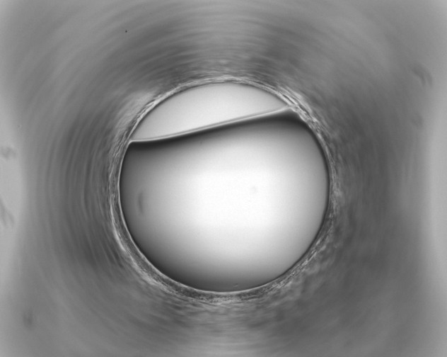 X0000091190097200708091029