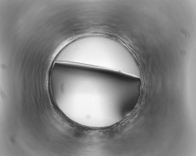 X0000091190100200708091029