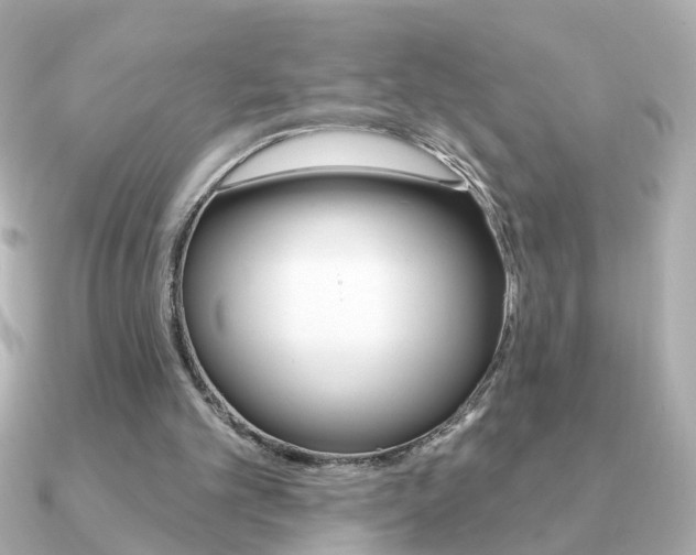 X0000091190101200708091029