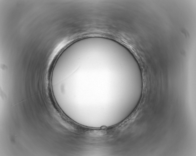 X0000091190102200708091029