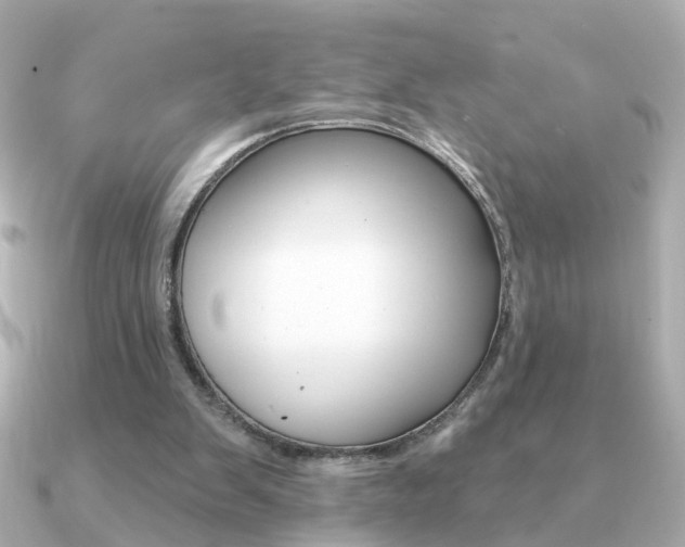 X0000091190103200708091029