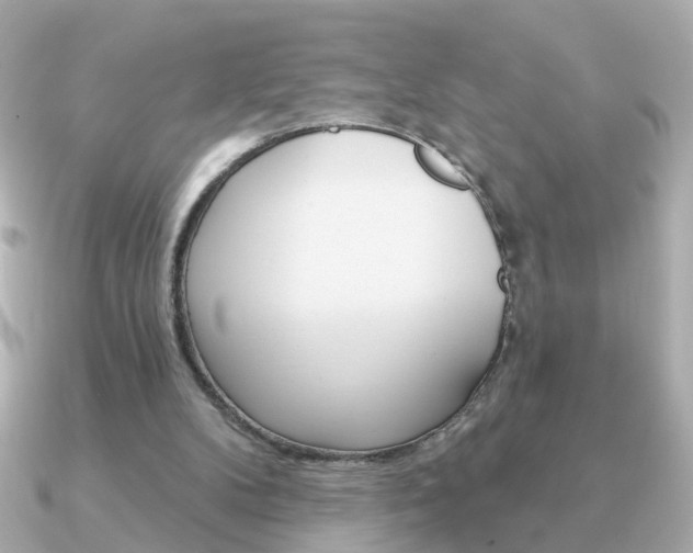 X0000091190104200708091029