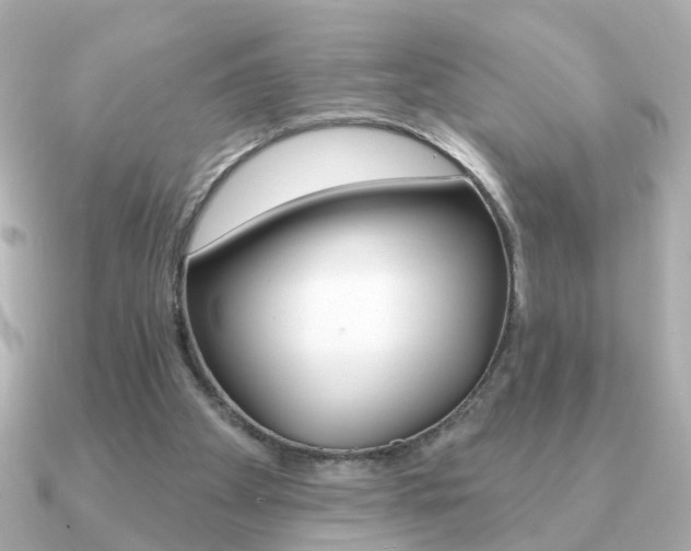 X0000091190105200708091029