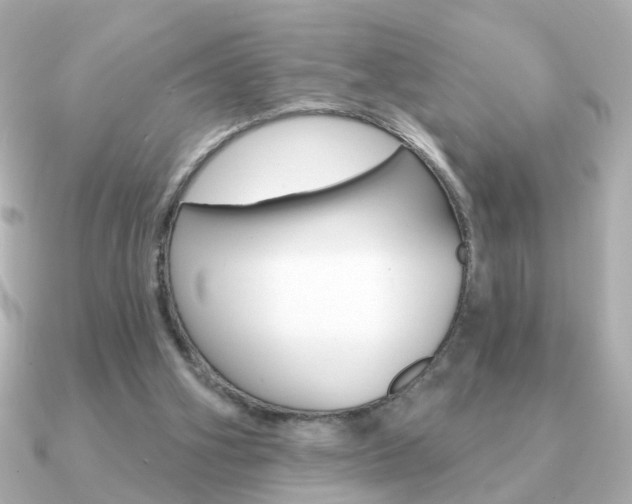 X0000091190106200708091029